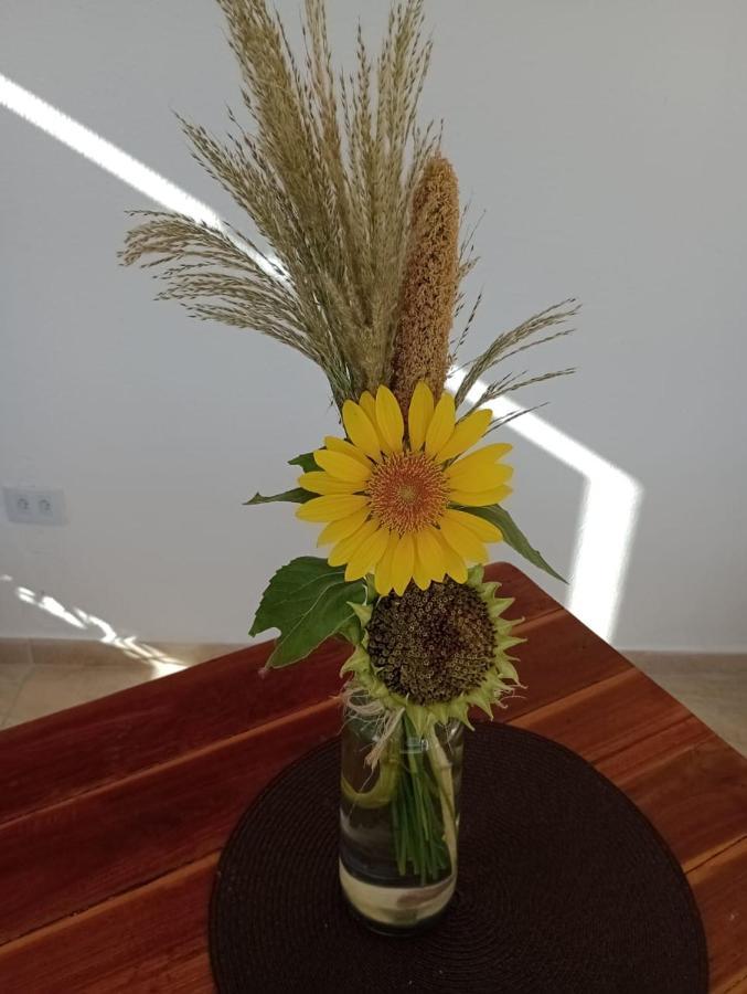 Chales Recanto Das Flores Rn Monte das Gameleiras Exterior foto